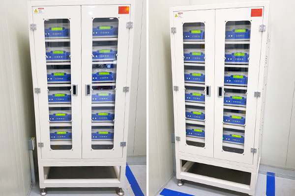 ������ ������